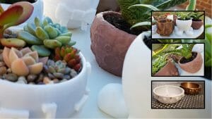 Custom Pots Digital sculpted succulent pots then 3D printed