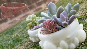 Custom Pots 3D modelled and 3D printed succulent pots
